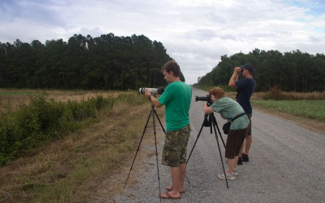 Photographing black bears