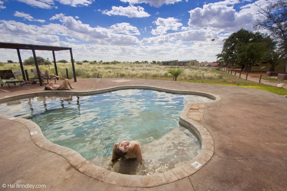 The independent traveler pool with savannah views The independent traveler pool with savannah views