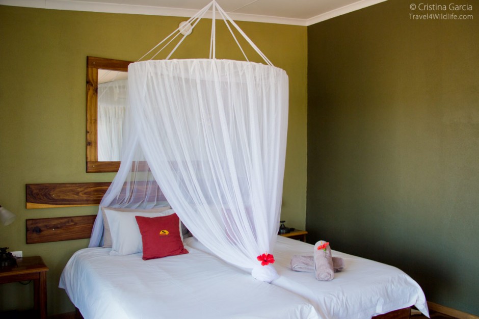 Our bed at the Anib Our bed at the Anib