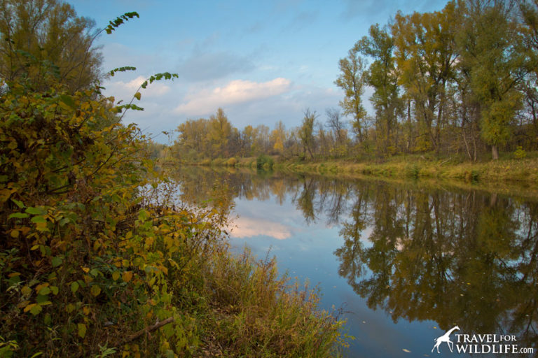 Река сакмара фото