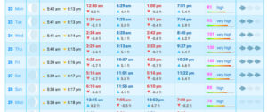 delaware bay tidal chart