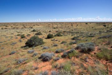 Kieliekrankie Wilderness Camp, Under the Full Moon | Travel For Wildlife