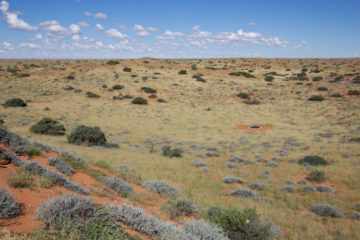 Kieliekrankie Wilderness Camp, Under the Full Moon | Travel For Wildlife