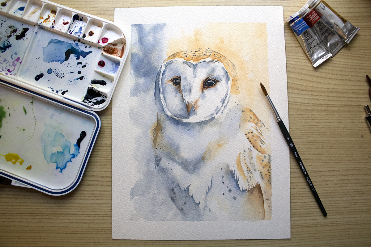 Find out how to Paint Birds in Watercolor (ideas from a newbie