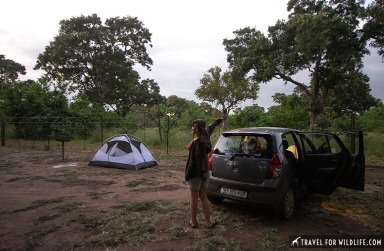 Letaba Rest Camp Kruger National Park Travel For Wildlife 3230