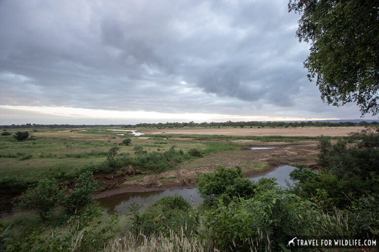 Letaba Rest Camp Kruger National Park Travel For Wildlife 7484