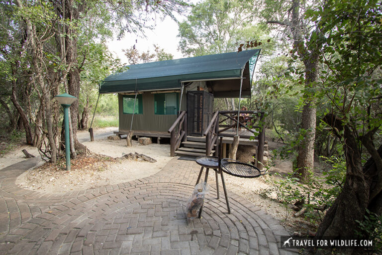 Tamboti Tented Camp, Kruger National Park | Travel For Wildlife