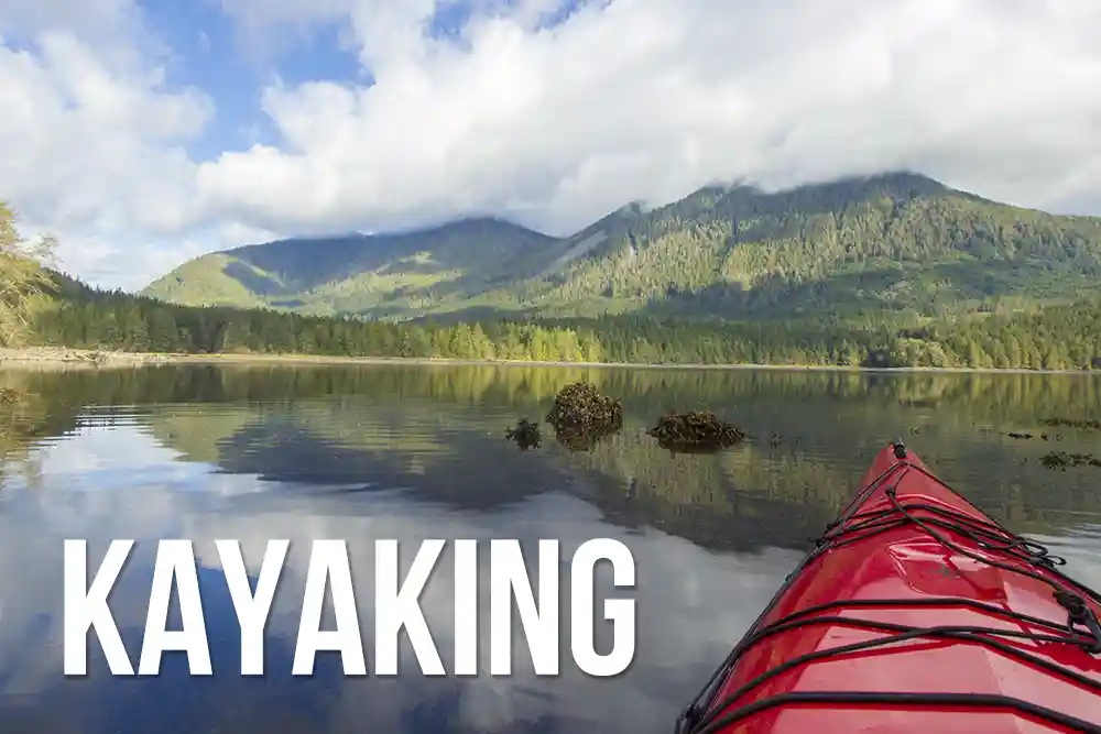 Kayaking tours to see wildlife